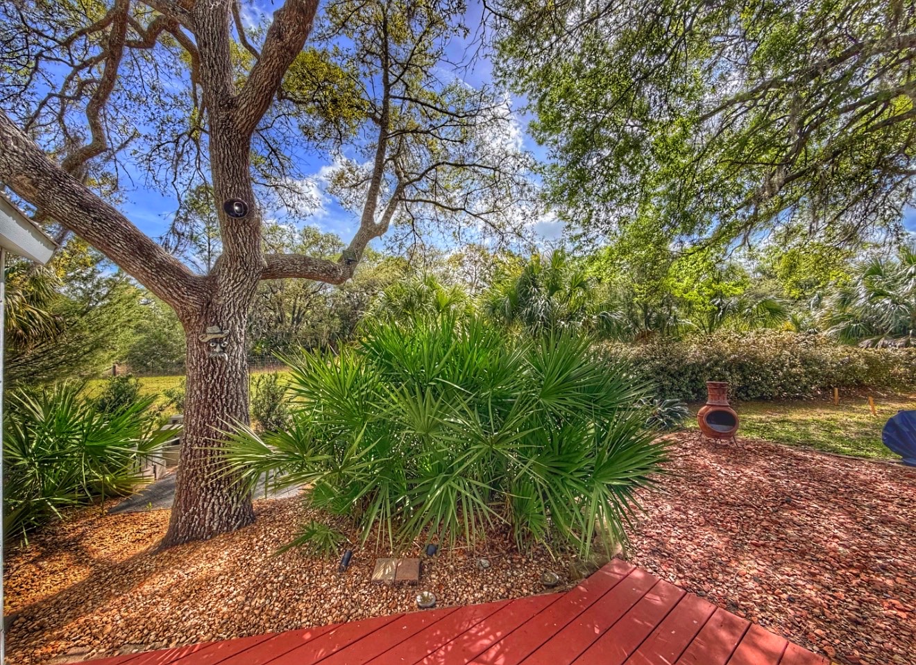Preserve oak tree view at Lot 101